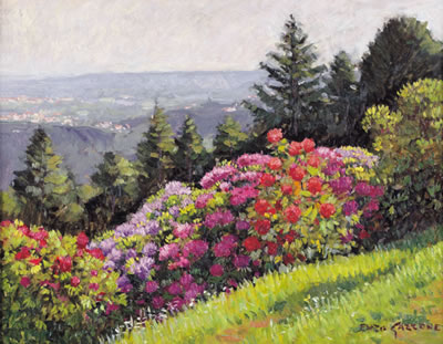 Sulla Burcina (Parco di Biella)