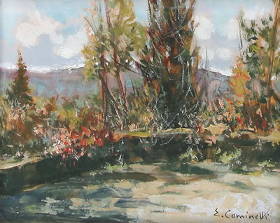 Un angolo del parco