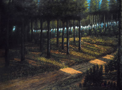 Il bosco