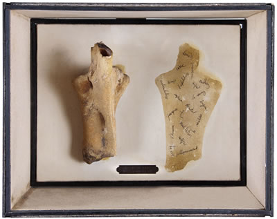 10 cm cubes de sang mutilation et vie, 1972