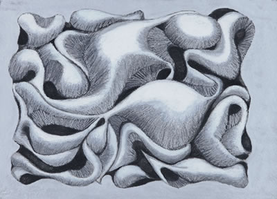 P.L. Harmony, 1998