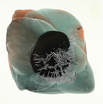 Black armony