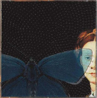 Contaminazioni, 2006
