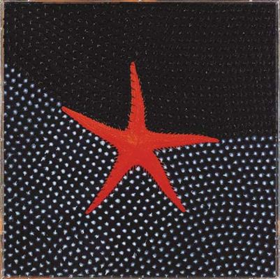 Fossili contemporanei, 2006