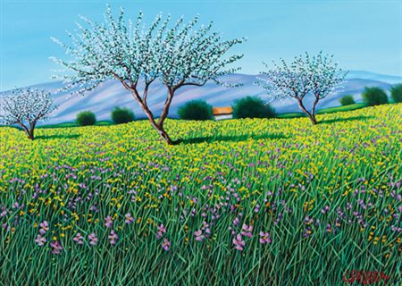Campo fiorito