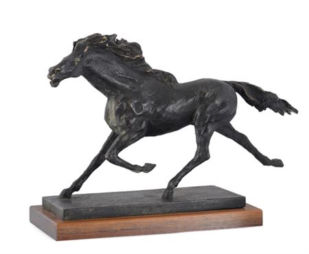 Puledro nero