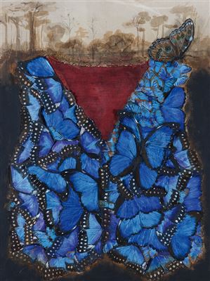 Essere di morpho, 1993
