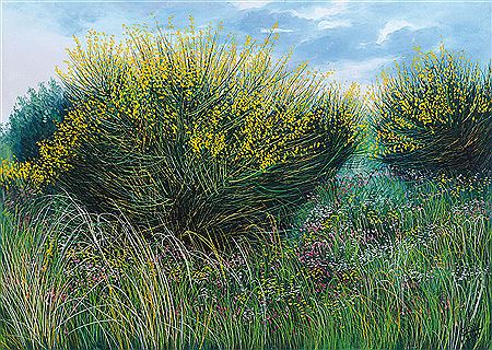Ginestre, 1985