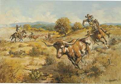 The Contrary Longhorn