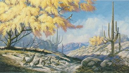Gathering the Covey