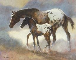 Appaloosa Colt and Mare