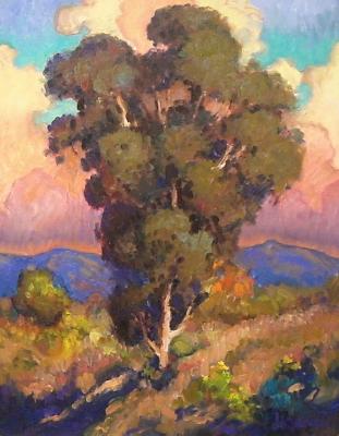 Eucalyptus Tree Landscape