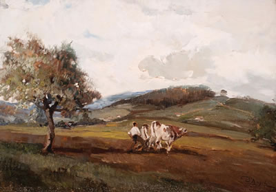 MAN WITH COWS IN A FIELD