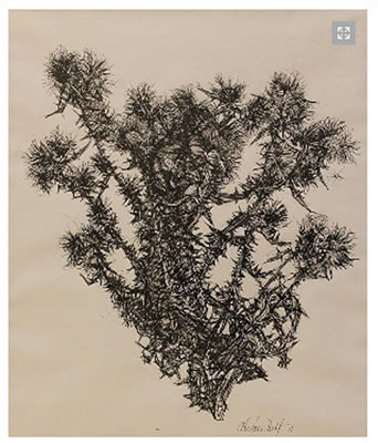 DEAD THISTLES II