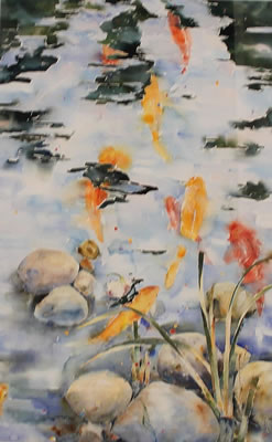 Koi