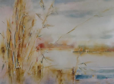 Marsh