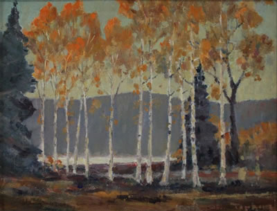Untitled - Birch Trees