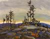 Early Evening, SSI by Leyda Campbell - Auction record, sale price, and art valuation. Compare with similar artists and explore comparable artworks.