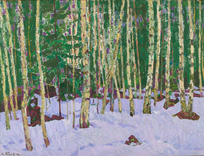 Early Snow in Forest