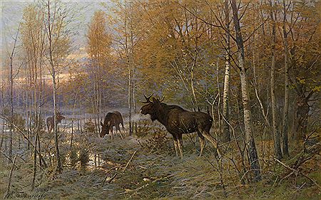 Elk in the Forest