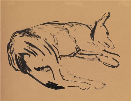 Sleeping Dog