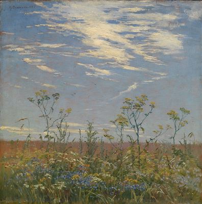 Wild Flowers in a Field