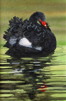 "Australian Black Swan" by Paul Margocsy - Auction record, sale price, and art valuation. Compare with similar artists and explore comparable artworks.