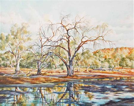 "Todd River Alice Springs" 1993 by Desmond John Brennan - Auction record, sale price, and art valuation. Compare with similar artists and explore comparable artworks.