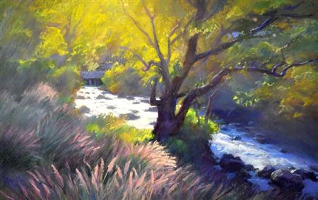 Sunlit Stream