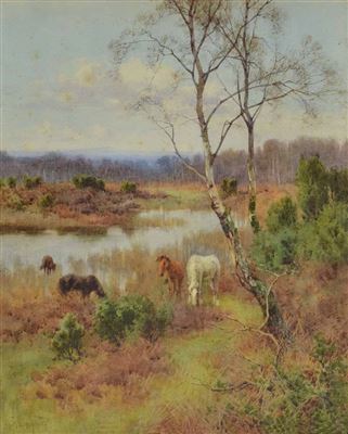 Horses grazing near a river