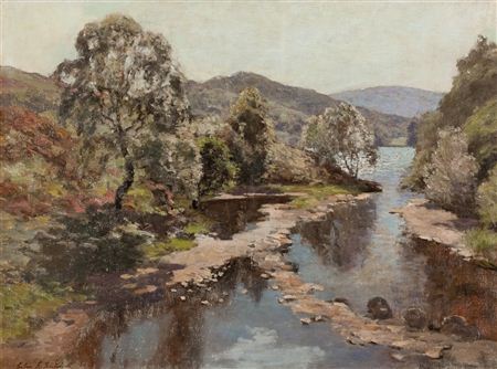 Birch by the River