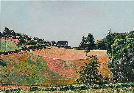 PINK FIELDS by Anderson B Robertson - Auction record, sale price, and art valuation. Compare with similar artists and explore comparable artworks.