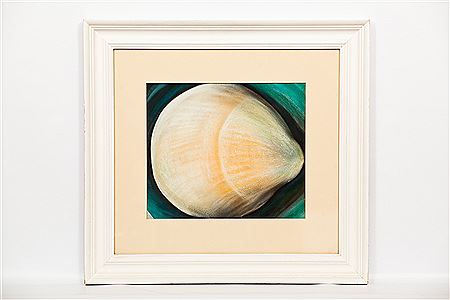 SHELL by Frances Law - Auction record, sale price, and art valuation. Compare with similar artists and explore comparable artworks.