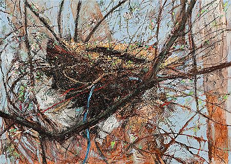 BIRDS MAKE THEIR NESTS OUT OF ALL SORTS OF THINGS