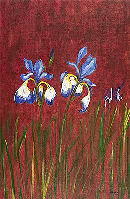 IRIS