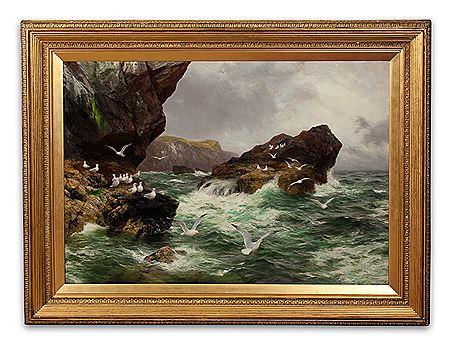 LONELY SEA CLIFFS WHERE THE GANNET FINDS A HOME