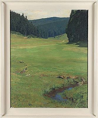 Sommerliche Talaue Blick über von Bächlein durchflossene sattgrüne Wiesen zum Waldrand in sanft bewegter Gebirgslandschaft im hellen Sonnenlicht