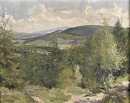 Sonnige Erzgebirgslandschaft Blick über Fichtenschonung in weite sommerliche Gebirgslandschaft unter duftig bewölktem Himmel