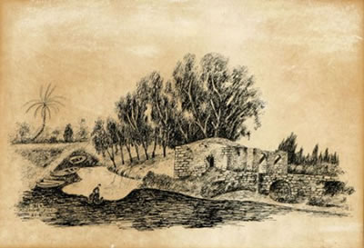 Seven Mills