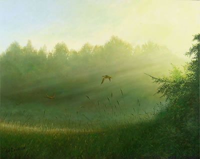 Bird's Flight