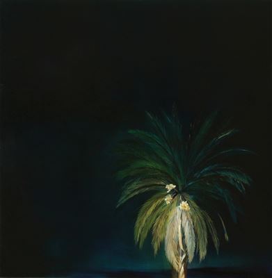 Palm Tree at Night 2 by Shuly (Suly) Bornstein Wolff - Auction record, sale price, and art valuation. Compare with similar artists and explore comparable artworks.