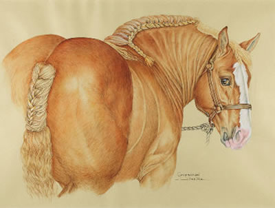La présentation d'un cheval de trait breton, champion du concours agricole by Beatrice Garabedian - Auction record, sale price, and art valuation. Compare with similar artists and explore comparable artworks.