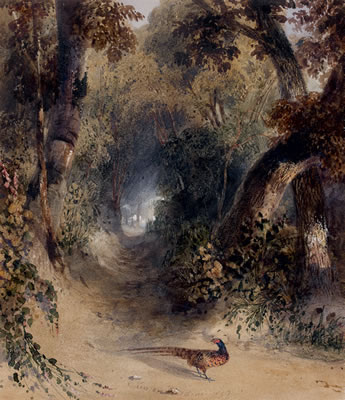Faisan dans un sous-bois by Newton Smith Limbird Fielding - Auction record, sale price, and art valuation. Compare with similar artists and explore comparable artworks.