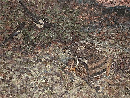 Rapace serrant un lièvre, surveillé par deux pies