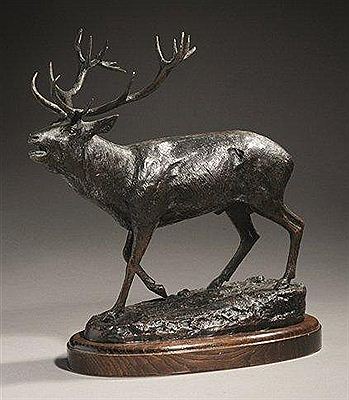Cerf au brame