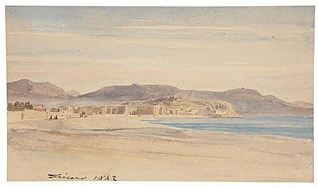 Vue animée de Nice