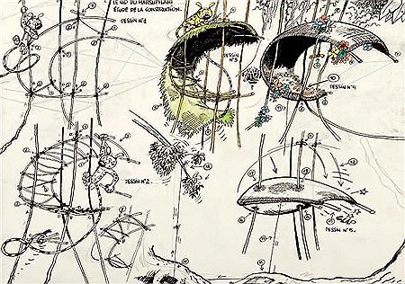 Le Marsupilami