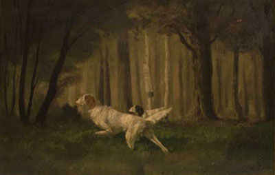 Dogs-Setters