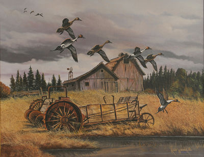 Pintails