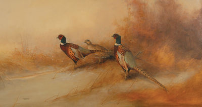 Pheasants